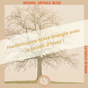 Article Blog Harmonisons notre énergie avec la saison d'hiver