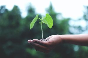 Ecologie personnelle