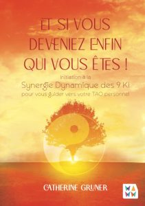 livre Synergie des 9KI