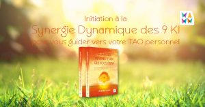 livre Synergie des 9KI