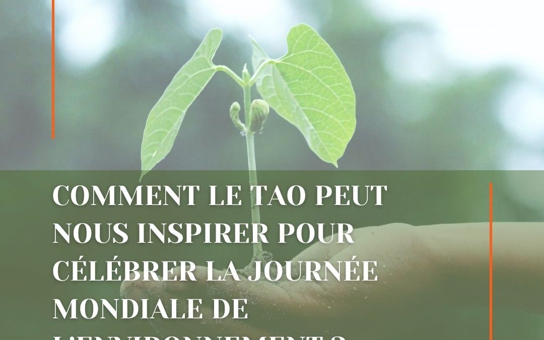 Comment le TAO peut nous inspirer pour célébrer la Journée mondiale de l’environnement ?