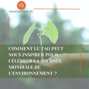 Journée de l'environnement