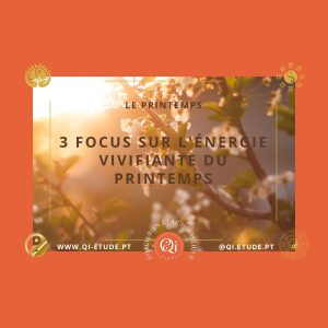 3 focus sur l'énergie du printemps