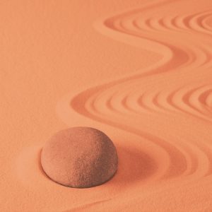 En comprenant les dynamiques énergétiques de notre personnalité, nous accédons à un véritable mode d'emploi personne