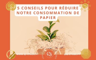 5 conseils pour réduire notre consommation de papier